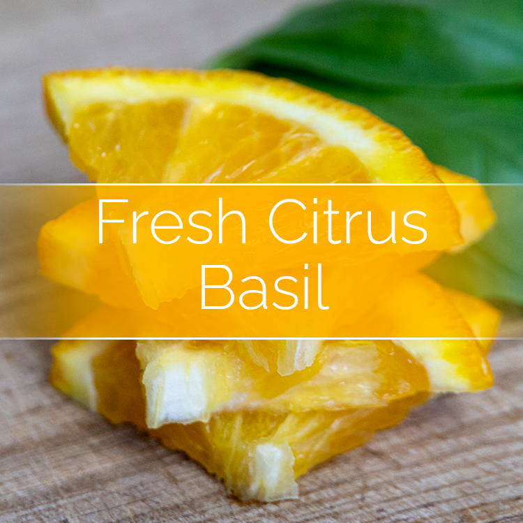 Fresh Citrus Basil - Candle-Making Kit