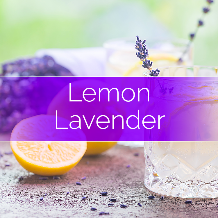 Lemon Lavender - Candle-Making Kit