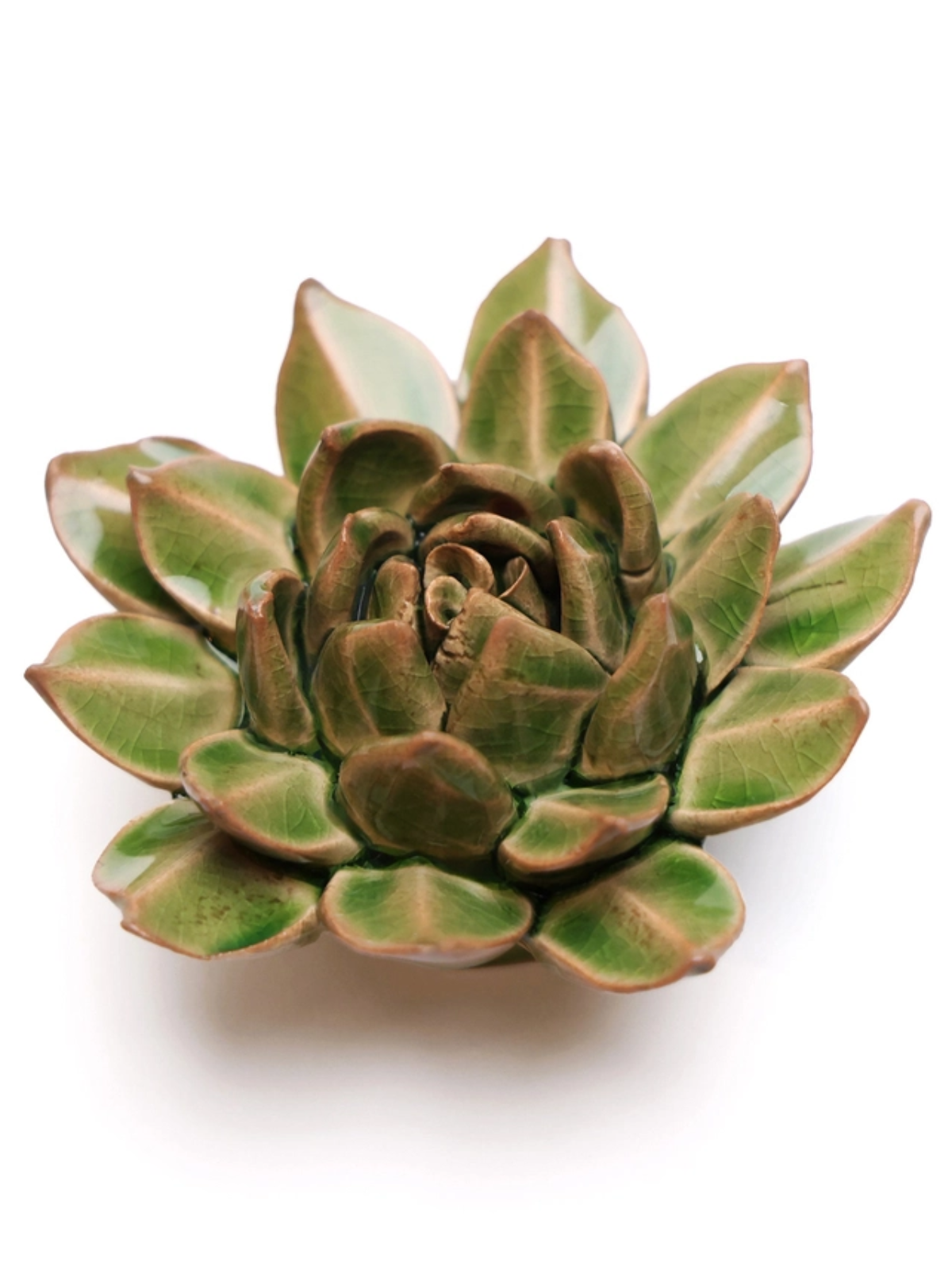 Ceramic Small Green Succulent - Echeveria - Table Decoration or Wall Hanging