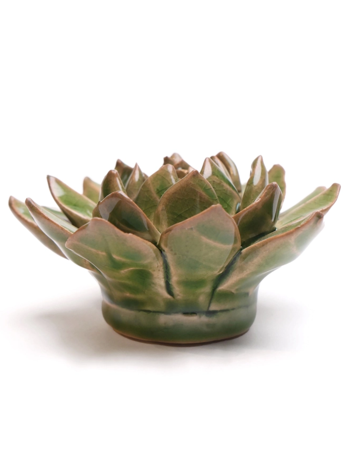 Ceramic Small Green Succulent - Echeveria - Table Decoration or Wall Hanging