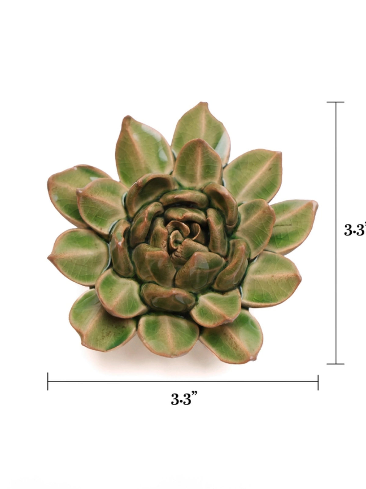 Ceramic Small Green Succulent - Echeveria - Table Decoration or Wall Hanging