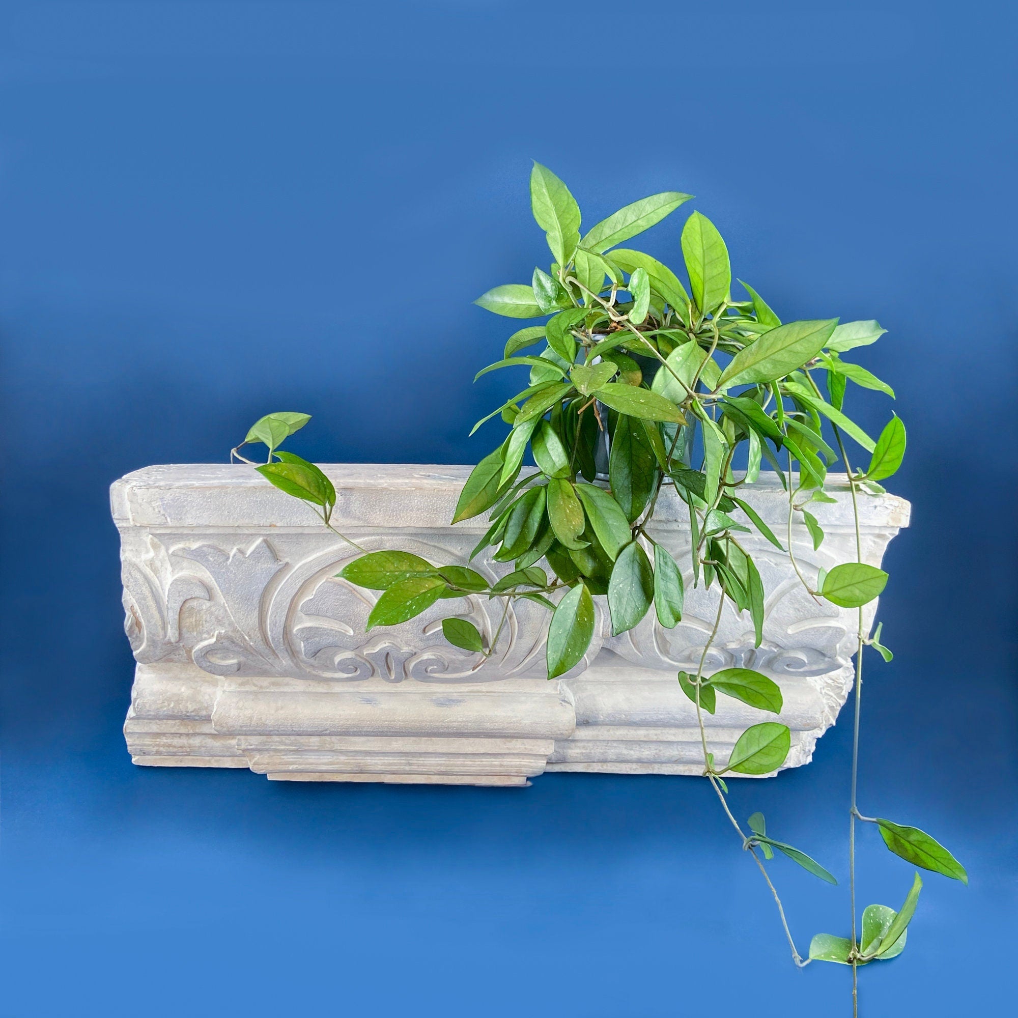 Faux Greek Roman Wall Hanging. Italian Mediterranean Style Home Shelving. Restaurant Retail Theater Wall Art. Styling Prop. Urethane Cornice